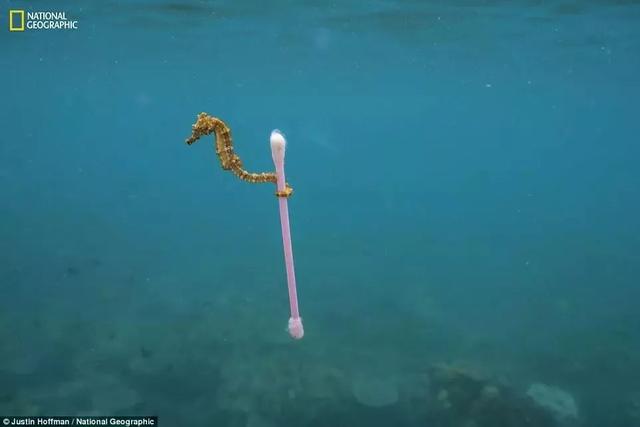 《國家地理》聚焦 “塑料星球”,人類之殤！