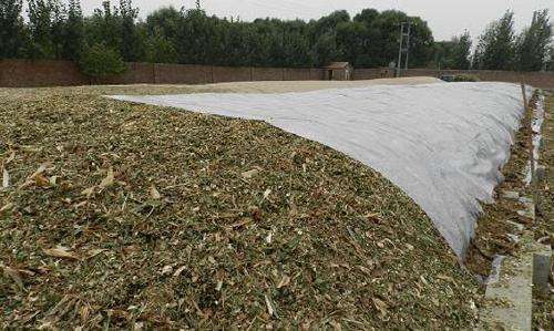 關(guān)注丨珠穆朗瑪峰成了一座“垃圾峰”？