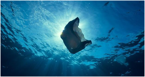 恒譽(yù)環(huán)保：引領(lǐng)“塑料回收”新時代，助力解決塑料污染